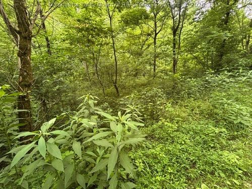 000 Brush Run Rd, Gay, WV, 25244 | Card Image