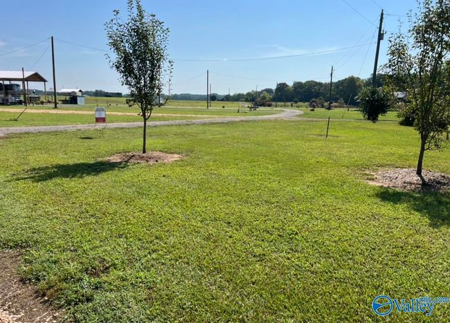 13 County Road 1042, Home with 0 bedrooms, 0 bathrooms and null parking in centre AL | Image 10