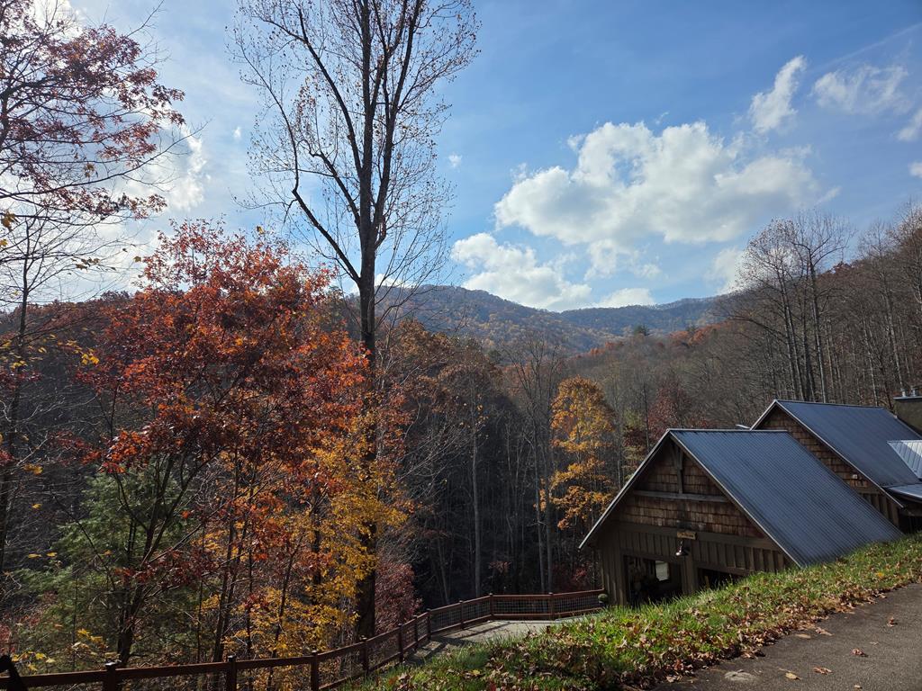 Land in Franklin 5