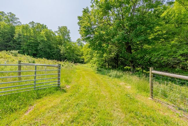 688 Gibson Knob Rd, Home with 0 bedrooms, 0 bathrooms and null parking in Laurel Fork VA | Image 85