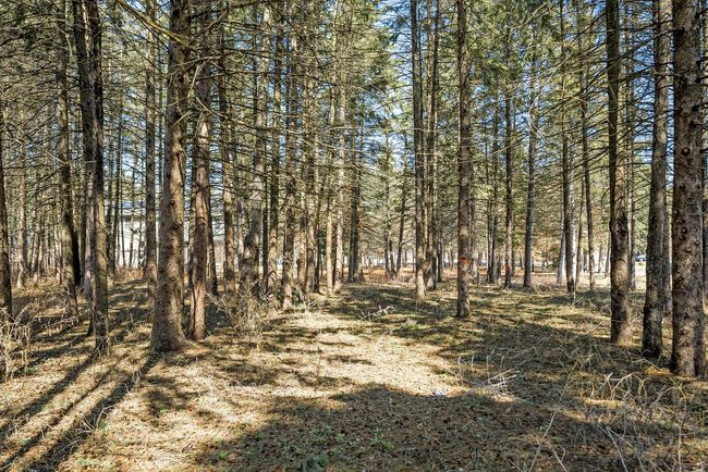 13329 Brenda Blvd, Home with 0 bedrooms, 0 bathrooms and null parking in Becker MN | Image 6