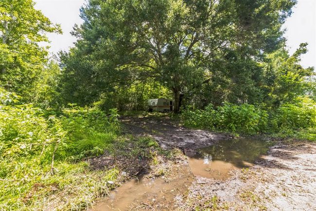 0 Davis Bend Rd, Home with 0 bedrooms, 0 bathrooms and null parking in Alvin TX | Image 16