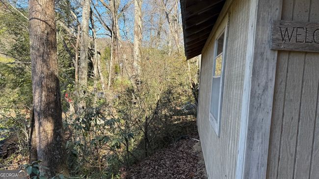 0 Goshen Mesa Ln, Home with 0 bedrooms, 0 bathrooms and null parking in CLARKESVILLE GA | Image 8