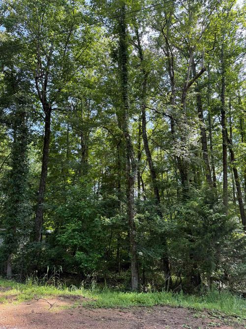 909 Crestwood Dr Nw/Cwl909 Dr, Saulsbury, TN, 38067 | Card Image