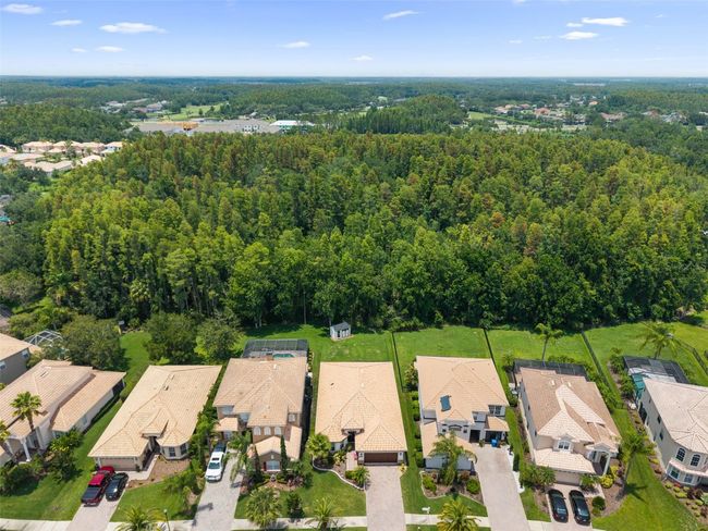 10880 Cory Lake Dr, House other with 3 bedrooms, 2 bathrooms and null parking in TAMPA FL | Image 43