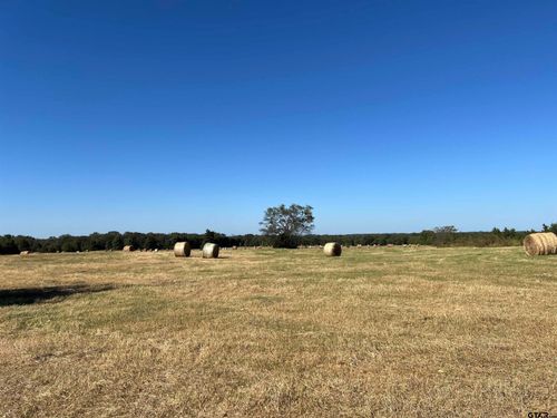 TBD Sw Cr 3010, Mt Vernon, TX, 75457 | Card Image