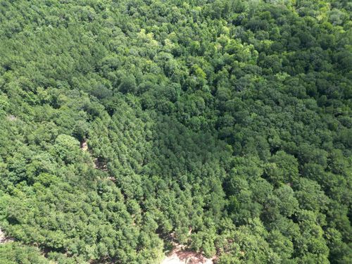 34 Caney Creek Dr, Huntsville, TX, 77320-1596 | Card Image