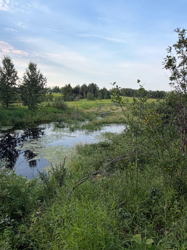 Land in Marwayne 5