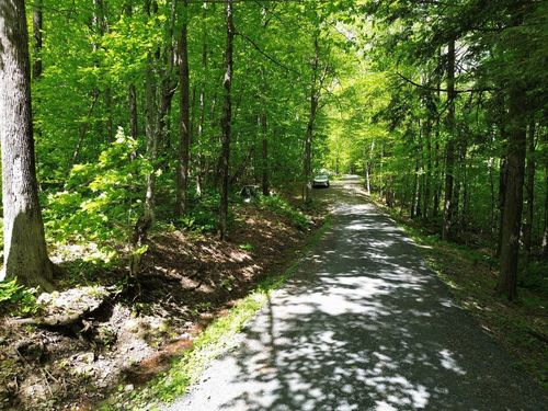 197 S Sugar Ledge Rd, Warren, VT, 05674 | Card Image