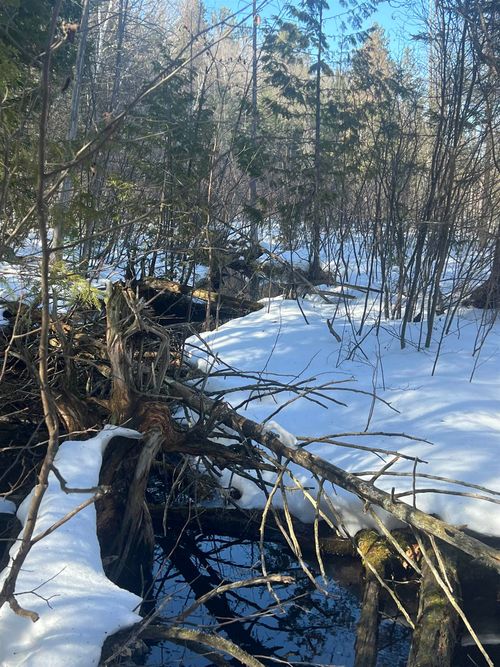 0000 Spikehorn Trl, Indian River, MI, 49749 | Card Image