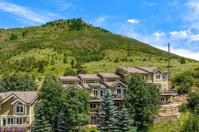 107 Lions Ln, Townhouse with 3 bedrooms, 4 bathrooms and 3 parking in Minturn CO | Image 31