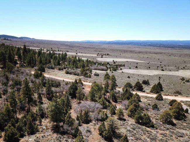 11-Aerial View3 | Image 11