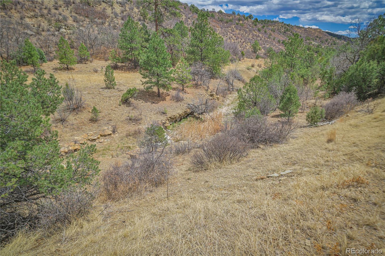 Land in Weston 4