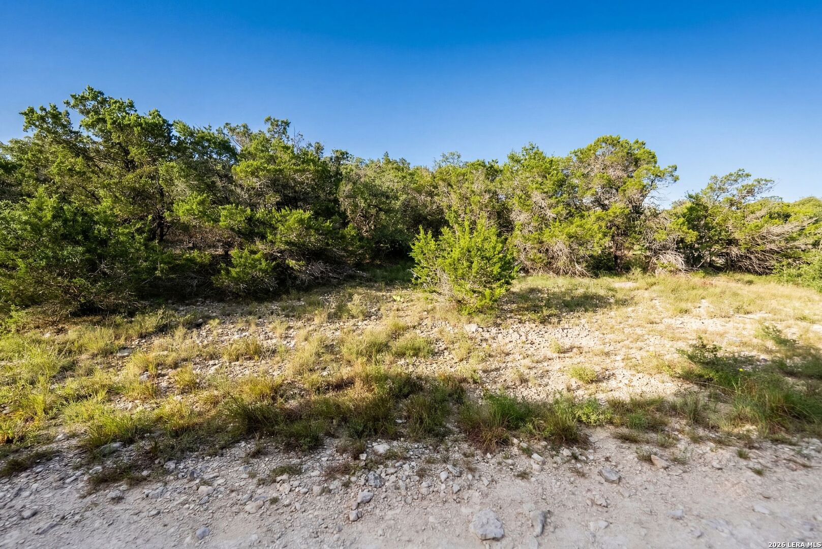 Land in Spring Branch 4