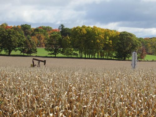 V/L 0000 Briggs Road, Stanton, MI, 48888 | Card Image