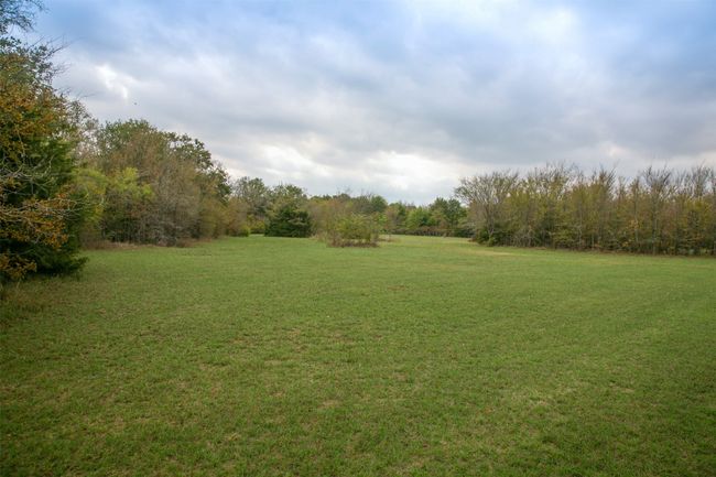 Beautiful private meadows | Image 6