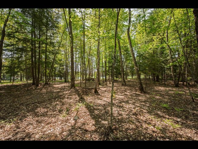 Lot 11 Kinderhook Trl, Home with 0 bedrooms, 0 bathrooms and null parking in Eagle River WI | Image 7