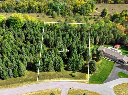 Lot 17 Lipp Farm Rd, Benzonia, MI, 49616 | Card Image