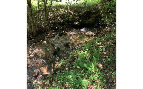 LOT20 Bryant Cove Rd, Blairsville, GA, 30512 | Card Image