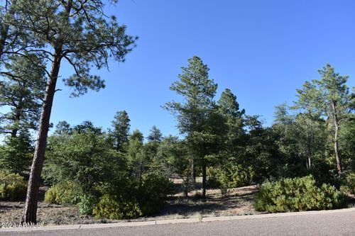 19-19 E Pine Ridge Dr, Star Valley, AZ, 85541-2542 | Card Image