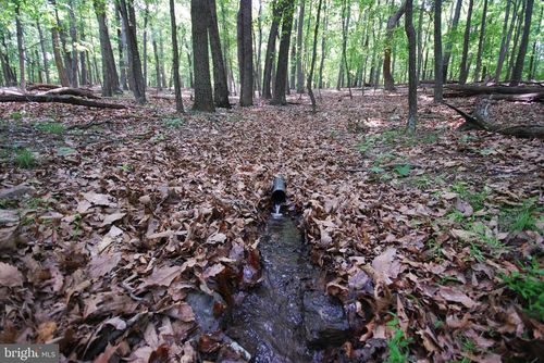 Lot 67 Mill Mountain Road, Romney, WV, 26757 | Card Image