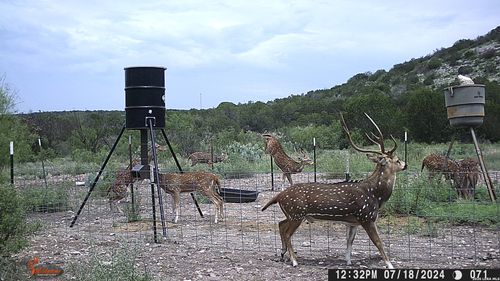 LOT 2 Dusty Rose Ranch East, Rocksprings, TX, 78880 | Card Image