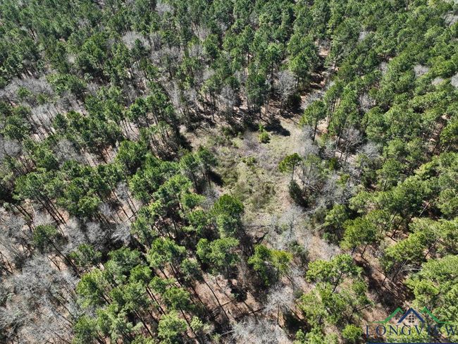 60 ac TBD Cr 1453, Home with 0 bedrooms, 0 bathrooms and null parking in Linden TX | Image 8