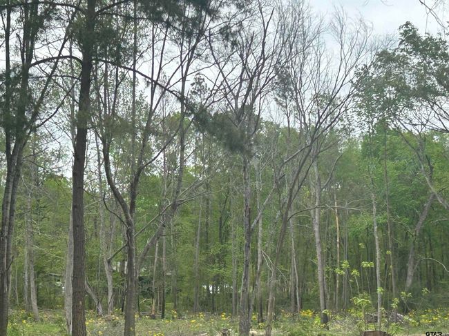 513 State Highway 323 E, Home with 0 bedrooms, 0 bathrooms and null parking in Overton TX | Image 7