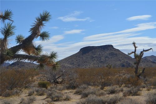 6 Suzette Rd, Yucca, AZ, 86438 | Card Image