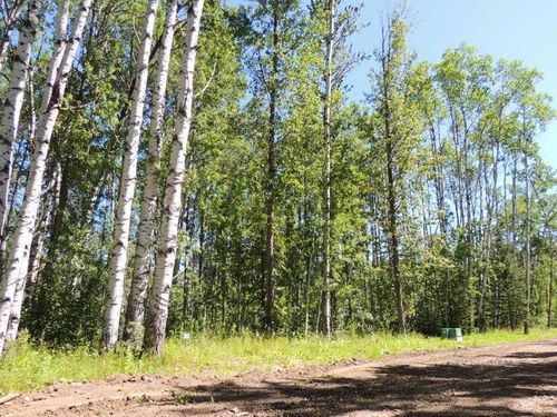 Lot #20 Wapiti River Sw-21-69-10-W6, Rural Grande Prairie No. 1, County of, AB, T0H1J0 | Card Image