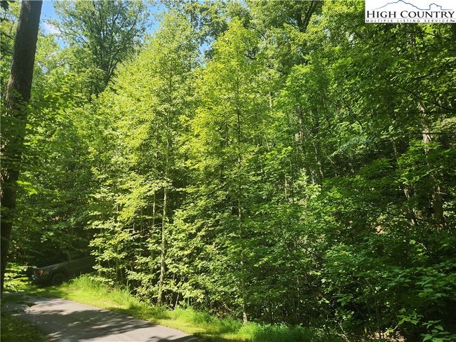 25 - 301 Bear Track Ln, Home with 0 bedrooms, 0 bathrooms and null parking in Lenoir NC | Image 17