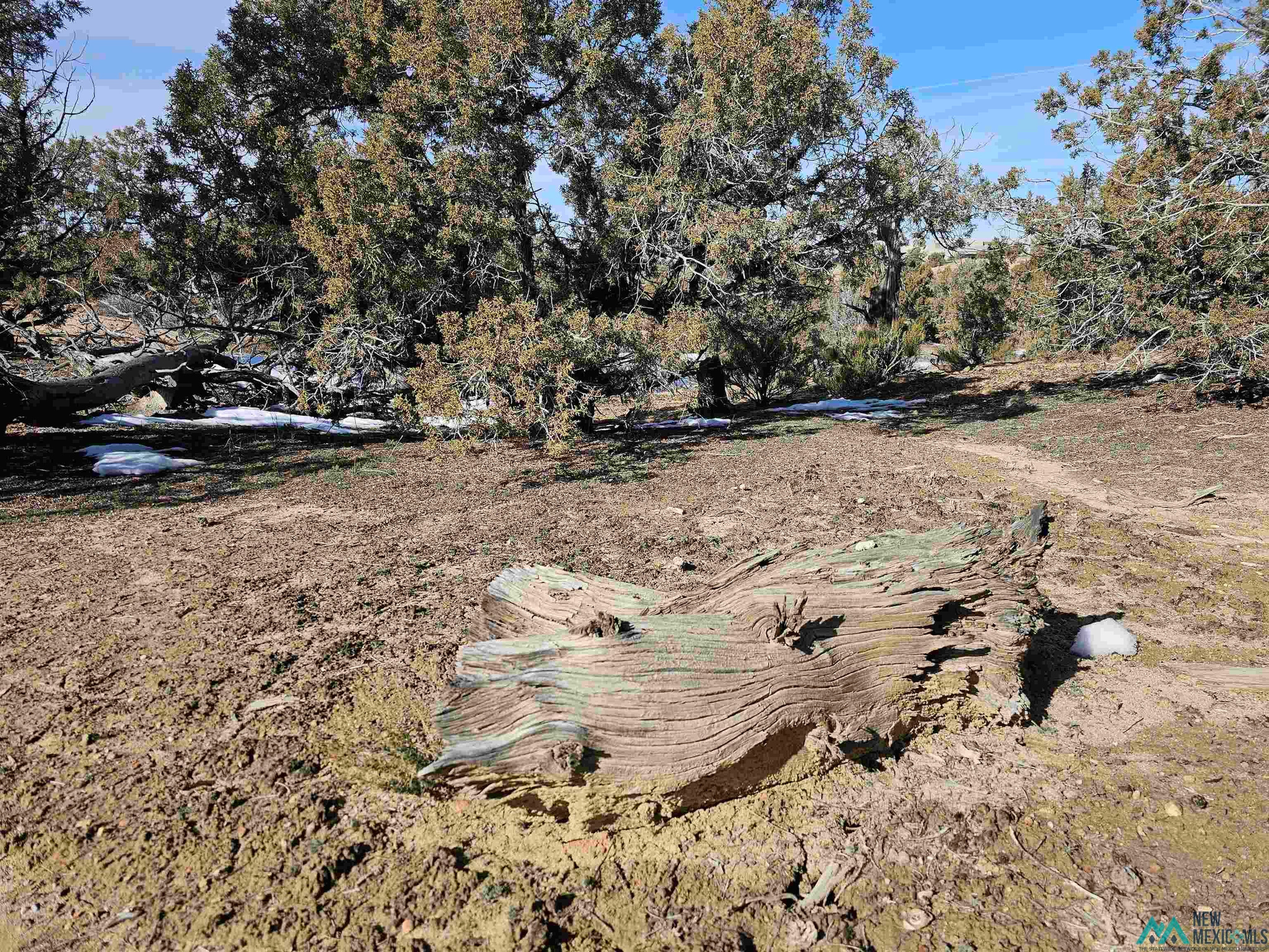Land in Farmington 2