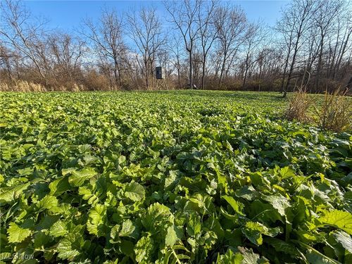 0 Homestead Dr, New Concord, OH, 43762 | Card Image