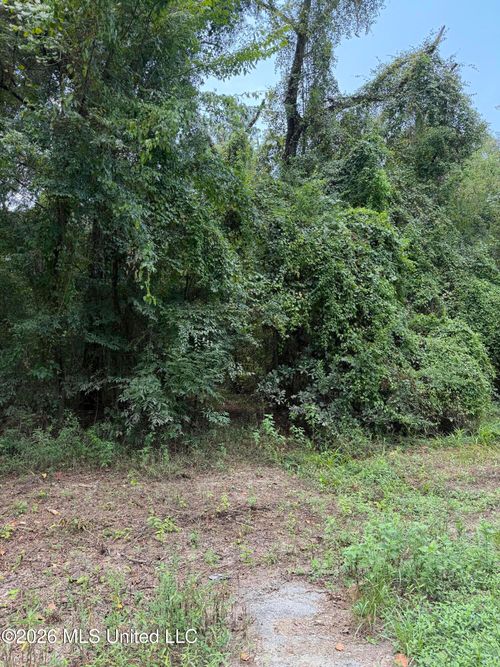 Lot 4 Pascagoula River Drive, Lucedale, MS, 39452 | Card Image