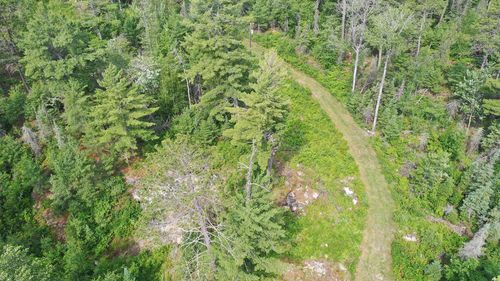 1648 Golden Ridge Trl, Ely, MN, 55731 | Card Image