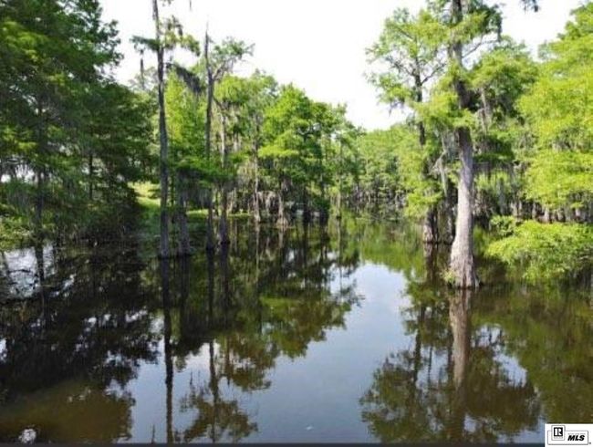 9282 Desiard Trce, Home with 0 bedrooms, 0 bathrooms and null parking in Sterlington LA | Image 13