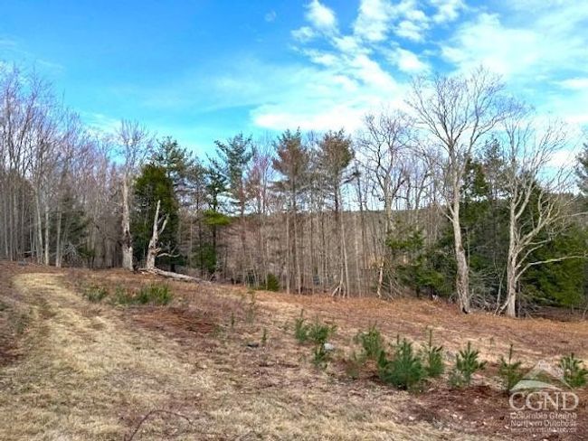 0 Campbell Rd, Home with 0 bedrooms, 0 bathrooms and null parking in Windham NY | Image 6