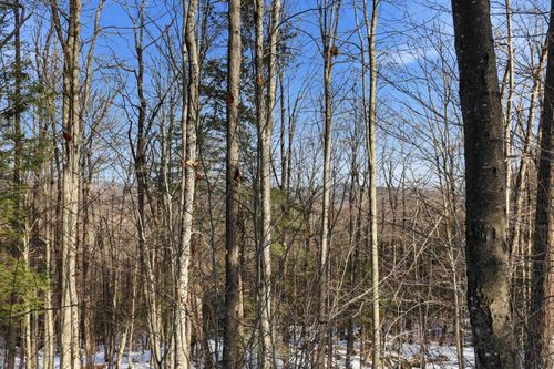 Tax Map5B Lot97 Nh Route 114, Henniker, NH, 03242 | Card Image