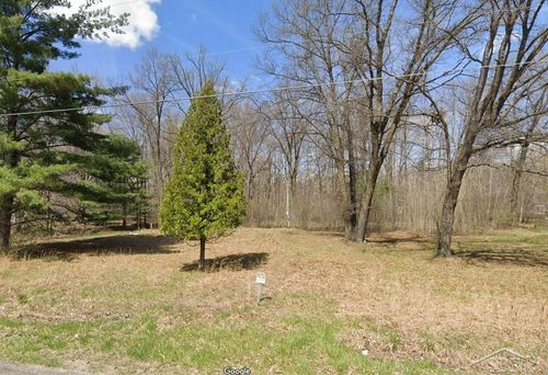 VL E Bradford Road, Mt Haley Township, MI, 48640 | Card Image