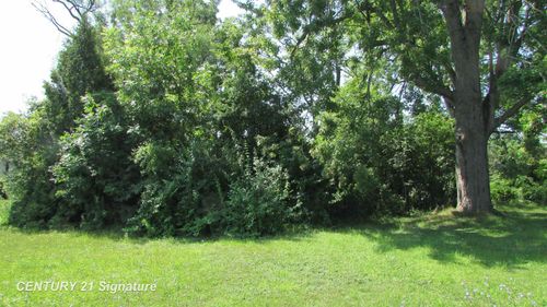 Parcel A Gratiot Road, Saginaw Charter Township, MI, 48638 | Card Image