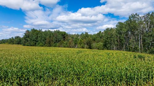 TBD 180th St, Verndale, MN, 56481 | Card Image