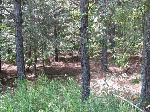 22 Private Road, Nashoba, OK, 74558 | Card Image