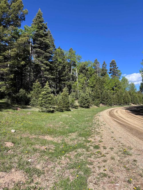 161 Back Basin Rd, Angel Fire, NM, 87710-8016 | Card Image