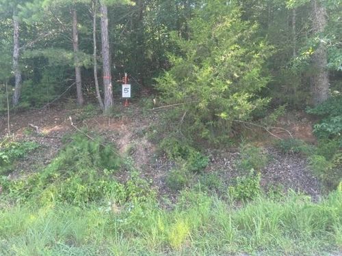 TRACT 5 Carroll Hollow Rd, Waynesboro, TN, 38485-0000 | Card Image