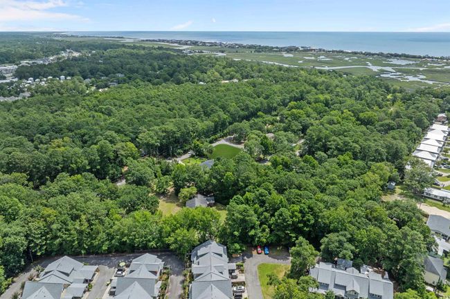284 Player Rd, Home with 0 bedrooms, 0 bathrooms and null parking in Pawleys Island SC | Image 8