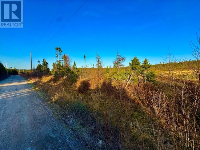 162-182 Riverside Rd E, Home with 0 bedrooms, 0 bathrooms and null parking in Glovertown NL | Image 8