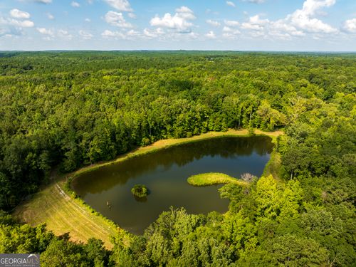 110 ACRES Talbotton Hwy, Butler, GA, 31006 | Card Image