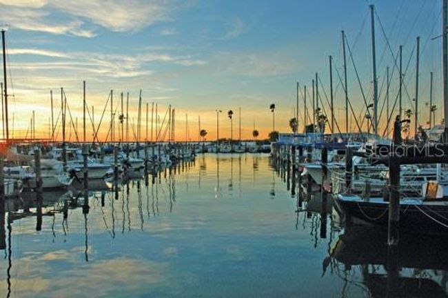 Dunedin Public Marina | Image 43