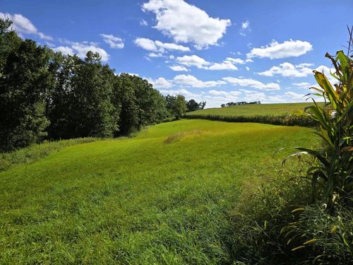 17 ACRES +/- Sherry Ridge Road, UTICA, WI, 54655 | Card Image
