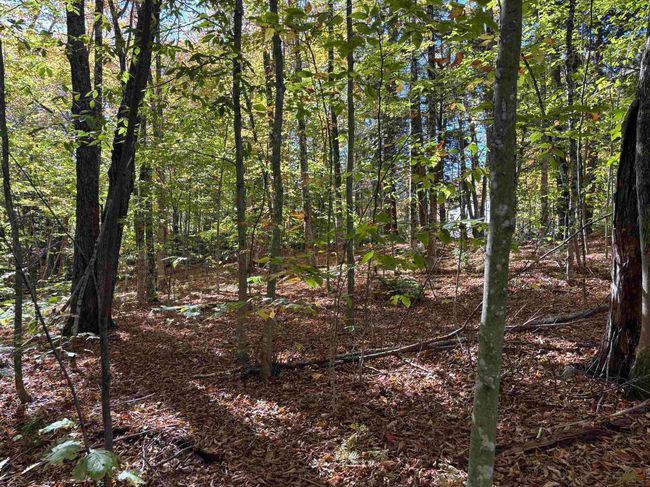 0 Snell Rd, Home with 0 bedrooms, 0 bathrooms and null parking in Chester VT | Image 5